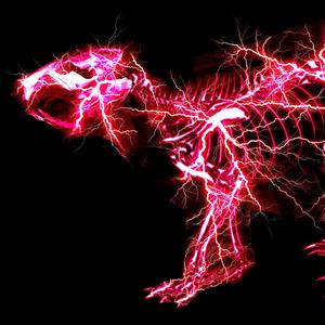 穿刺烧烤女屠宰全过程
