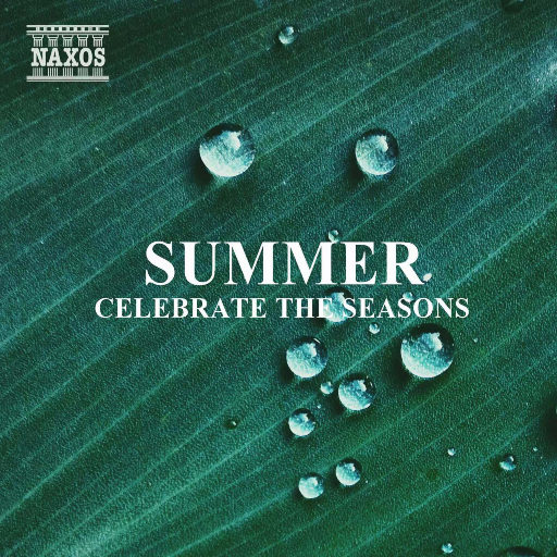 穿刺烧烤女屠宰全过程
